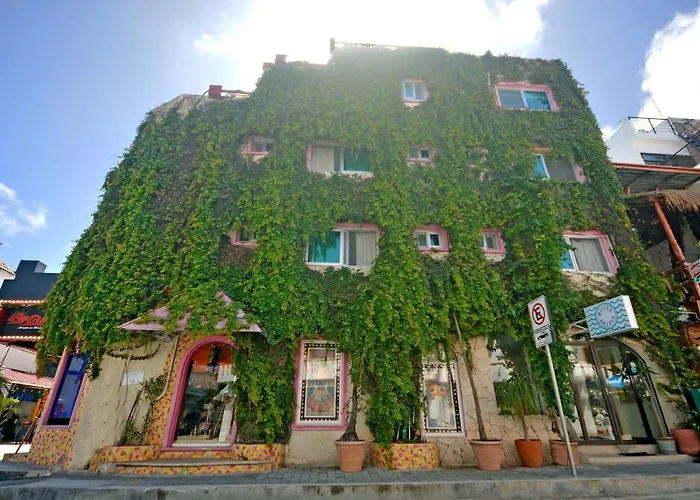 Boutique Hotel Delfin 5Th Avenue Playa del Carmen